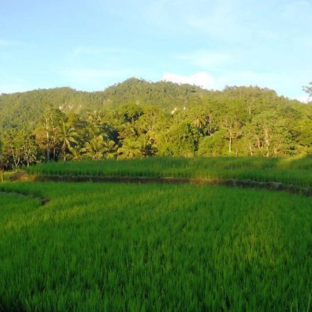 Bohol Paradise Hills Resort And Hotel Garcia Hernandez Exteriör bild